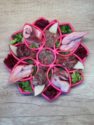 🍂 Barevný podzim je tu! 🌦️ Milujete ho nebo nesnášíte? 😅 Dny se krátí, času na venčení ubývá… takže nastupují senzorické...